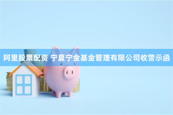 阿里股票配资 宁夏宁金基金管理有限公司收警示函