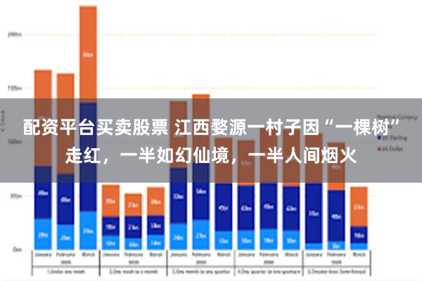配资平台买卖股票 江西婺源一村子因“一棵树”走红，一半如幻仙境，一半人间烟火