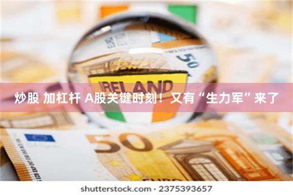 炒股 加杠杆 A股关键时刻！又有“生力军”来了