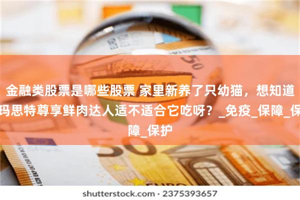 金融类股票是哪些股票 家里新养了只幼猫，想知道佩玛思特尊享鲜肉达人适不适合它吃呀？_免疫_保障_保护