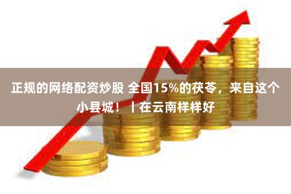 正规的网络配资炒股 全国15%的茯苓，来自这个小县城！丨在云南样样好