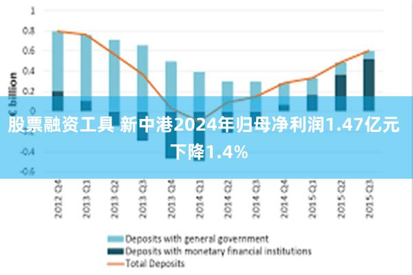 股票融资工具 新中港2024年归母净利润1.47亿元  下降1.4%