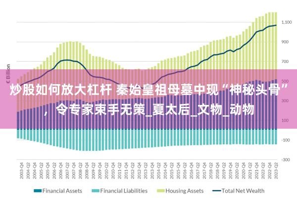 炒股如何放大杠杆 秦始皇祖母墓中现“神秘头骨”，令专家束手无策_夏太后_文物_动物