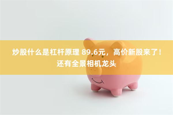 炒股什么是杠杆原理 89.6元，高价新股来了！还有全景相机龙头