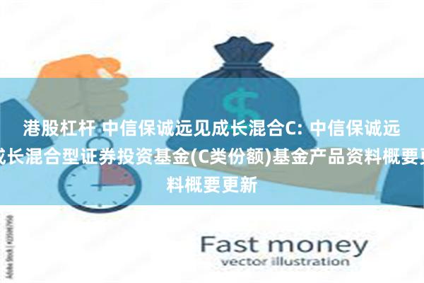 港股杠杆 中信保诚远见成长混合C: 中信保诚远见成长混合型证券投资基金(C类份额)基金产品资料概要更新