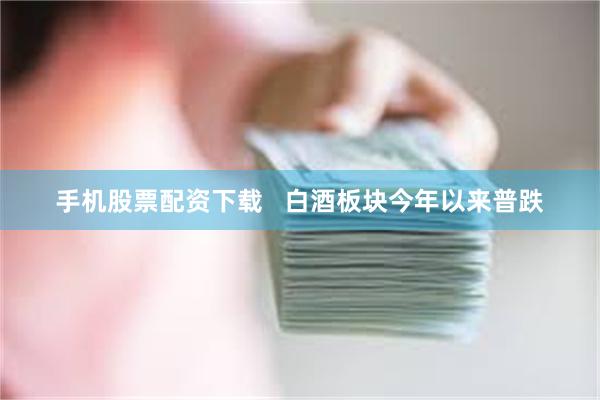 手机股票配资下载   白酒板块今年以来普跌