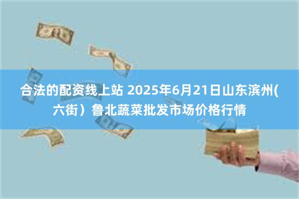 合法的配资线上站 2025年6月21日山东滨州(六街）鲁北蔬菜批发市场价格行情