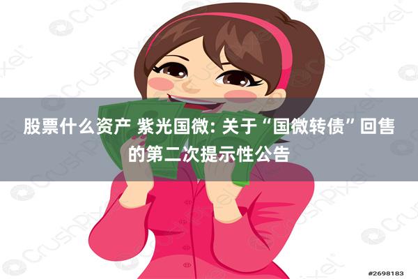 股票什么资产 紫光国微: 关于“国微转债”回售的第二次提示性公告
