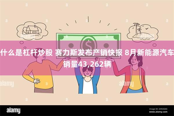什么是杠杆炒股 赛力斯发布产销快报 8月新能源汽车销量43,262辆