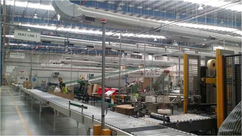 羊毛變金子 探訪澳洲最神秘工廠，揭秘世界頂尖羊毛加工技術轉讓之路